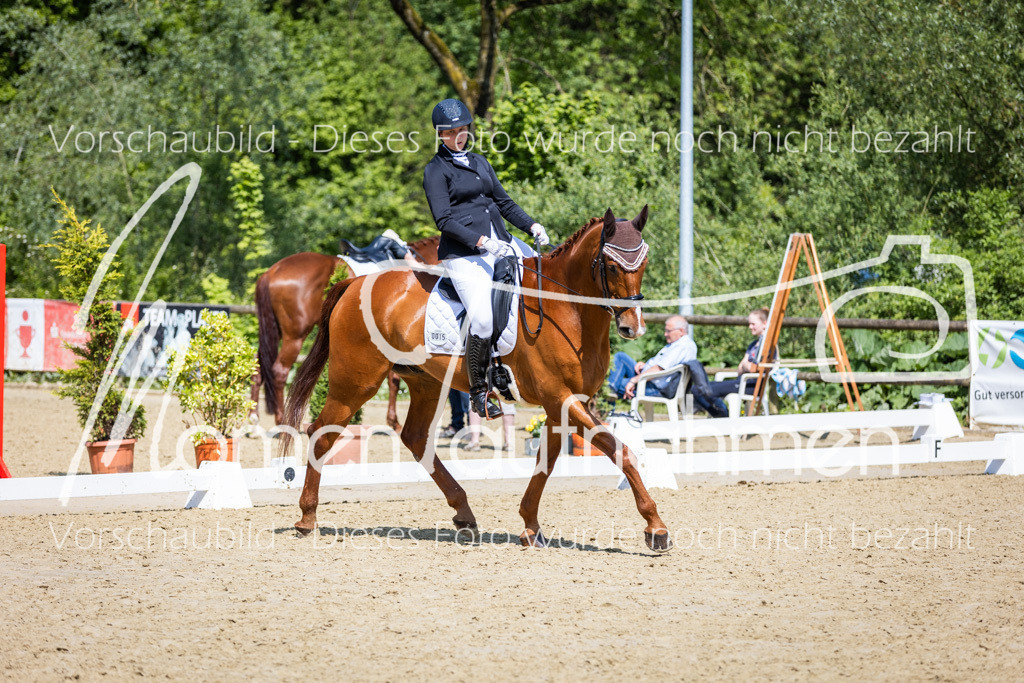 Donop24-L-Dre-059 | MomenTaufnahmen Pferdesportfotos