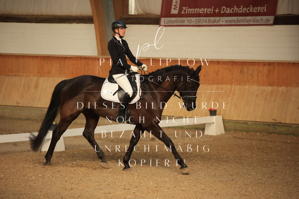 IMGT4597 | pl-fotografie