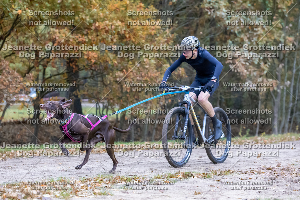 Dog Paparazzi - SD CaniX Championship 2025-294 | Dog Paparazzi Jeanette Grottendiek Fotografie & Videografie - Realisiert mit Pictrs.com