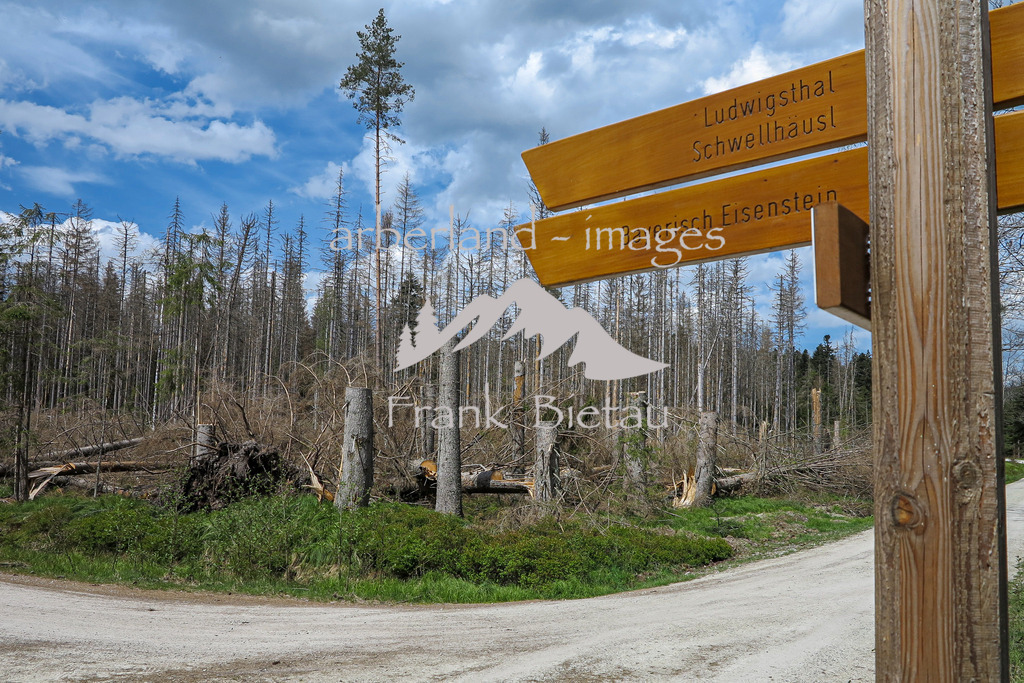 IMG_2000 | Medien- Sport- Entertainmentfotos