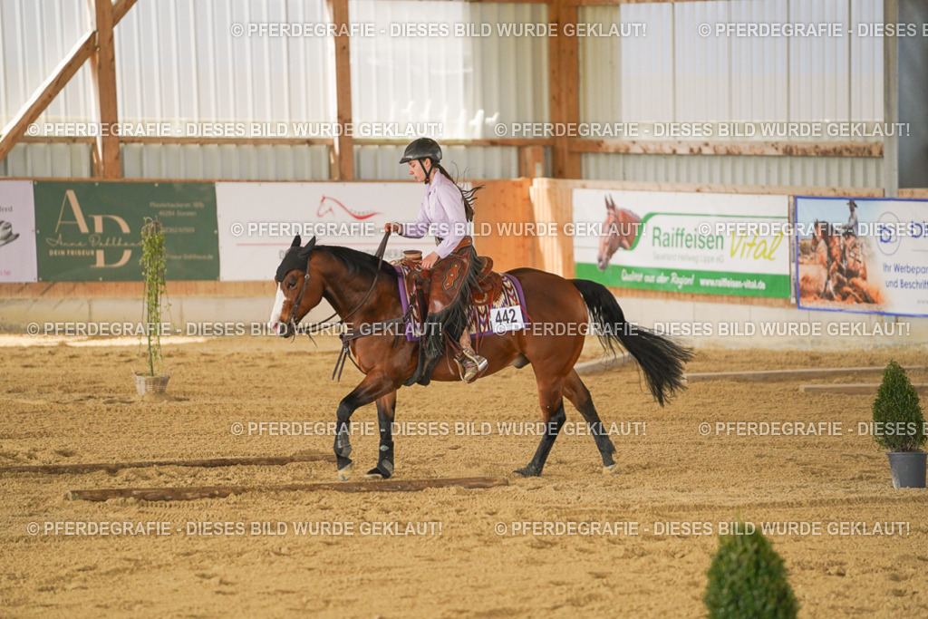 DSC06115 | Pferdegrafie