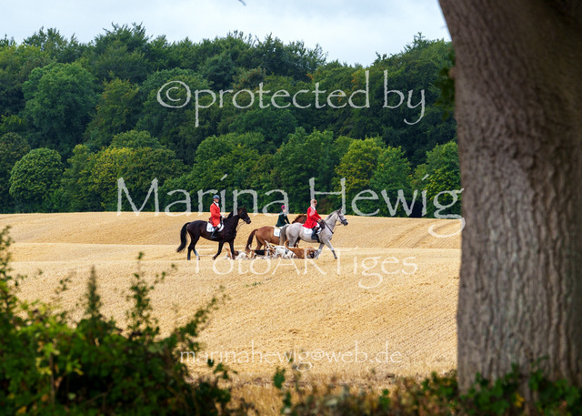 Jagd Knoop 26_MarinaHewigMCH02189 | Fotografie, FotoArt, PferdesportArt, Pferdesportfotografie, Landschaftsfotografie, Reisefotografie, Reise, Pferde - Realisiert mit Pictrs.com