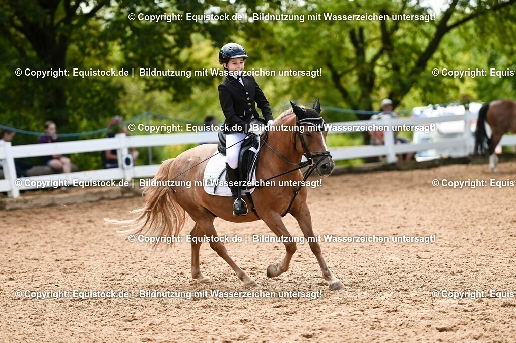 20230716_10-3_Reiter-WB Schritt - Trab - Galopp_0185 | equistock