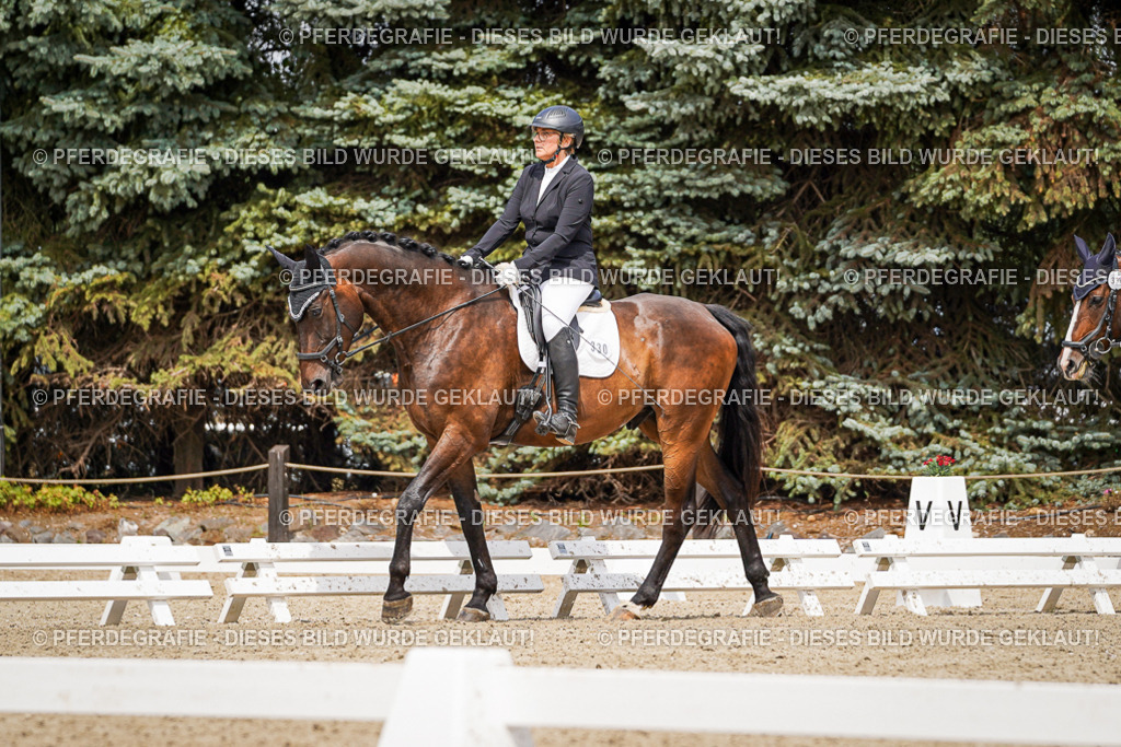 DSC03620 | Pferdegrafie