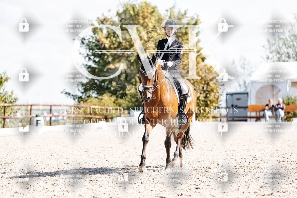 CK902679 | Turnierfotografie Pferdefotografie Trier Rheinland-Pfalz Pferdesport Reitsport Tierfotografie Sportfotografie Pferdevideo Pferdevideografie Equestrianvideography equestrianphotography  - Realisiert mit Pictrs.com