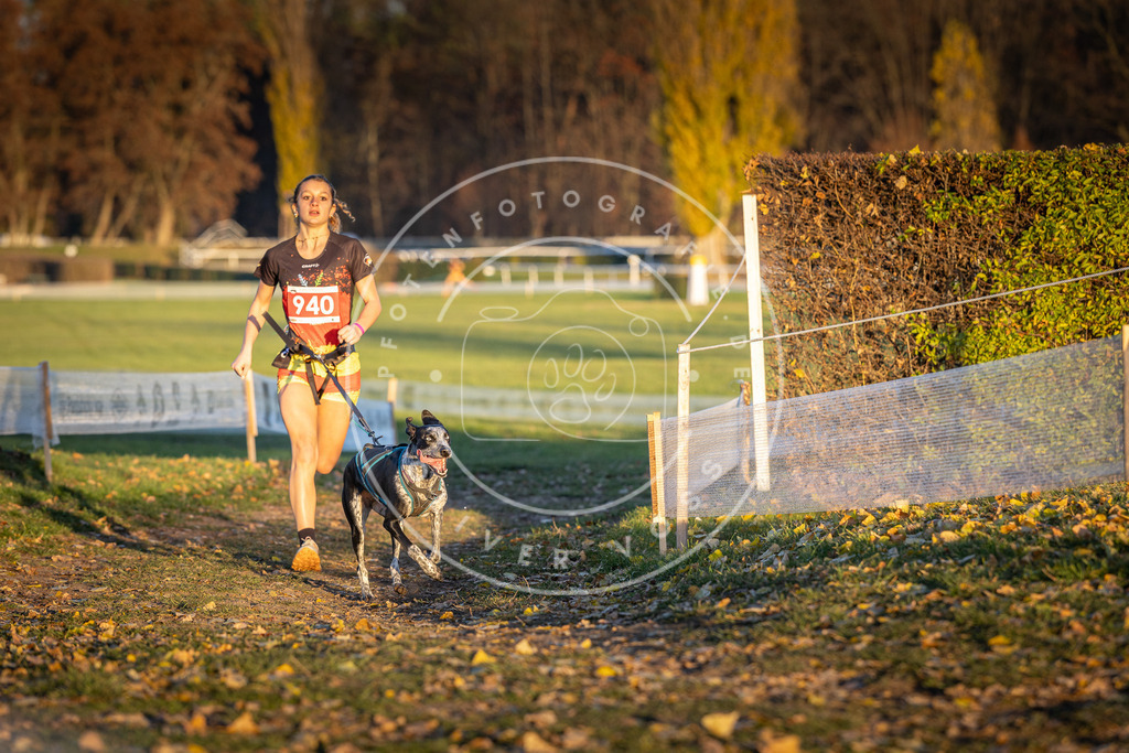CaniXpix_DV3A5363 | Hundefotografie, Tierfotograf, Pfotenfotografie, Fotoshooting Hund, Hunde Portrait, Hundesport, Hundeportraits, Heideshooting, Hunde, Sportfotograf, Hundefotograf, Turnierhundsport, THS,  - Realisiert mit Pictrs.com