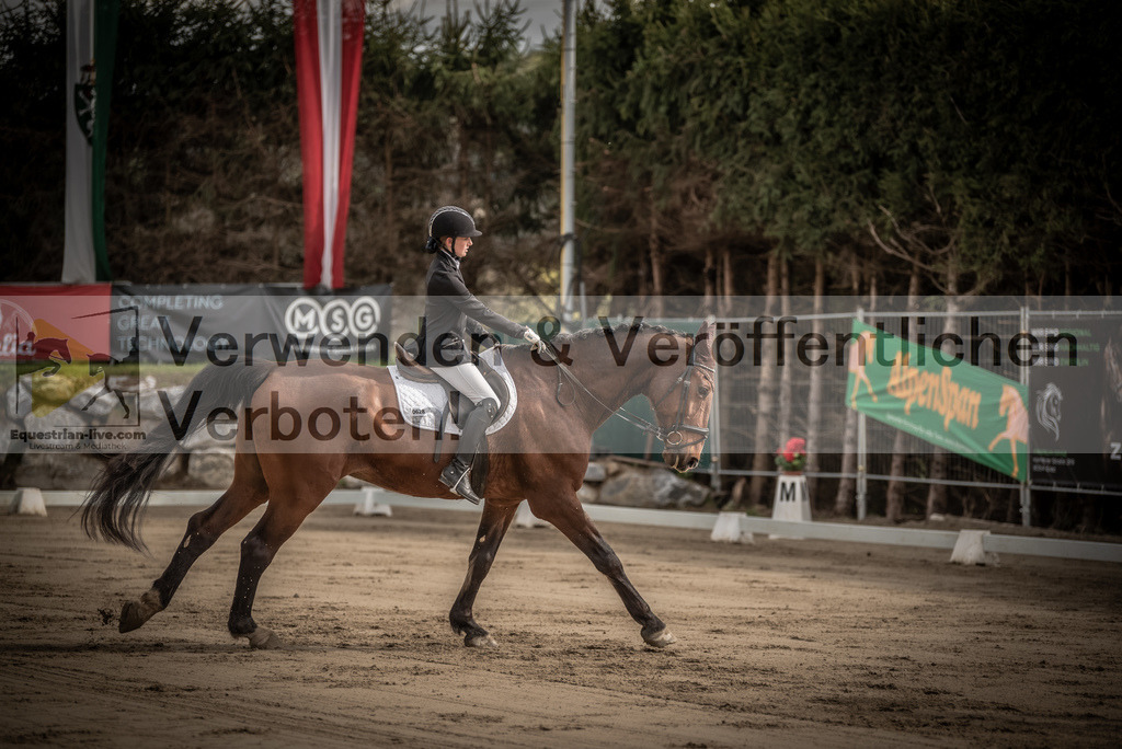 DSC_8282 | equestrian-live-com