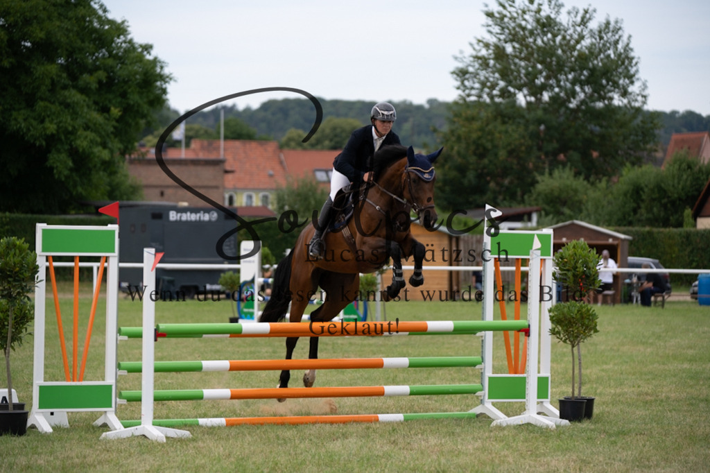 A7V01291 | Pferdefotograf