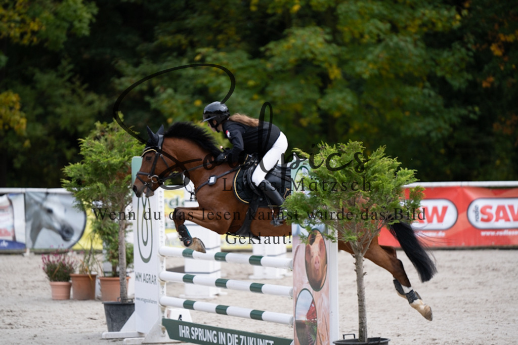 A7V00514 | Pferdefotograf