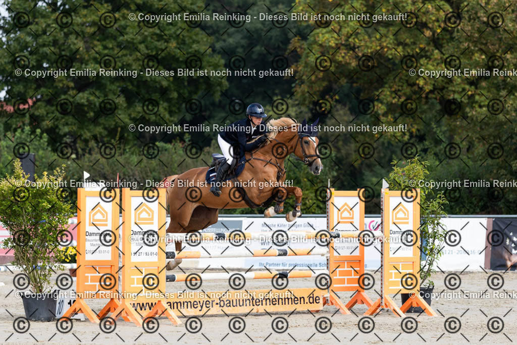 CL5A5096 | Emilia Reinking Fotografie - Realisiert mit Pictrs.com