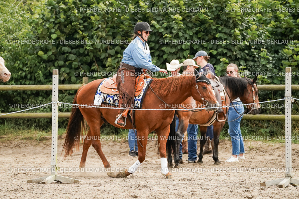 DSC00196 | Pferdegrafie