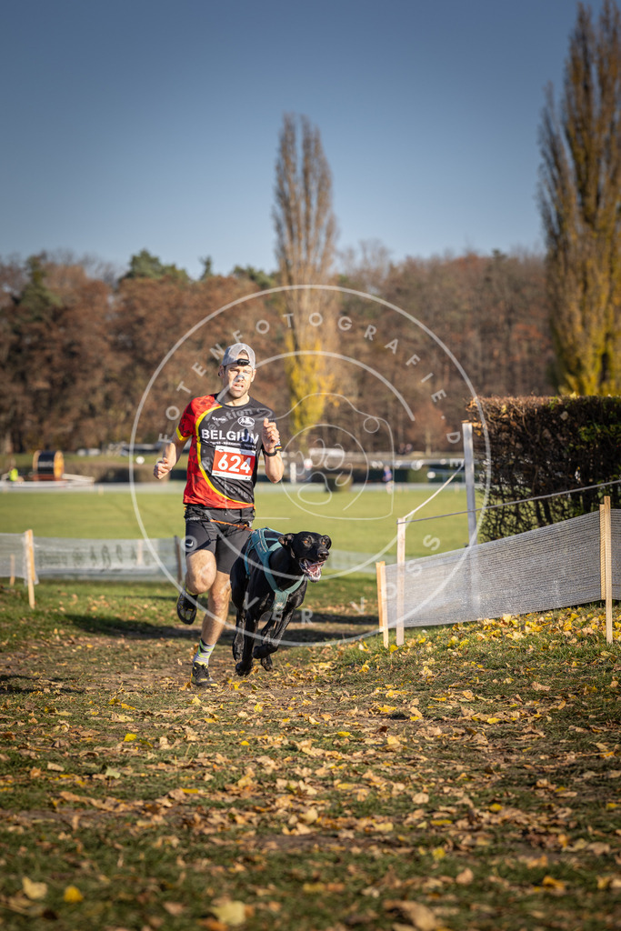 CaniXpix_DV3A9971 | Hundefotografie, Tierfotograf, Pfotenfotografie, Fotoshooting Hund, Hunde Portrait, Hundesport, Hundeportraits, Heideshooting, Hunde, Sportfotograf, Hundefotograf, Turnierhundsport, THS,  - Realisiert mit Pictrs.com