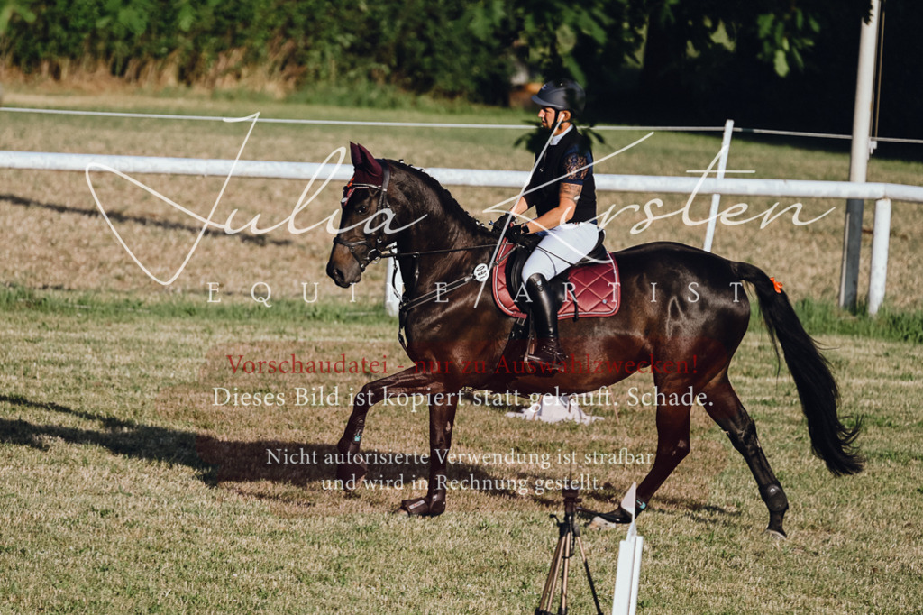 DSC_3232 | Pferde- und Turnierfotografie in Westsachsen. Pferdeportraits, Auftragszeichnungen und intuitive Kunst.