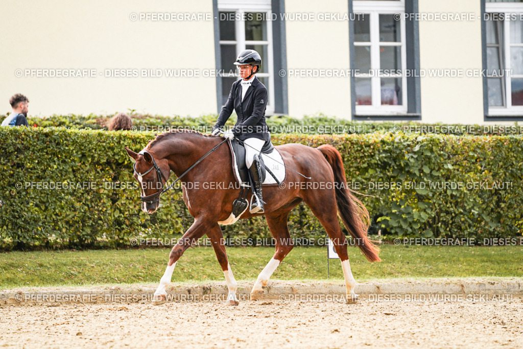 DSC01652 | Pferdegrafie