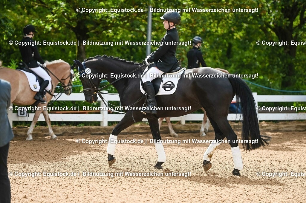 20230716_10-1_Reiter-WB Schritt - Trab - Galopp_0137 | equistock