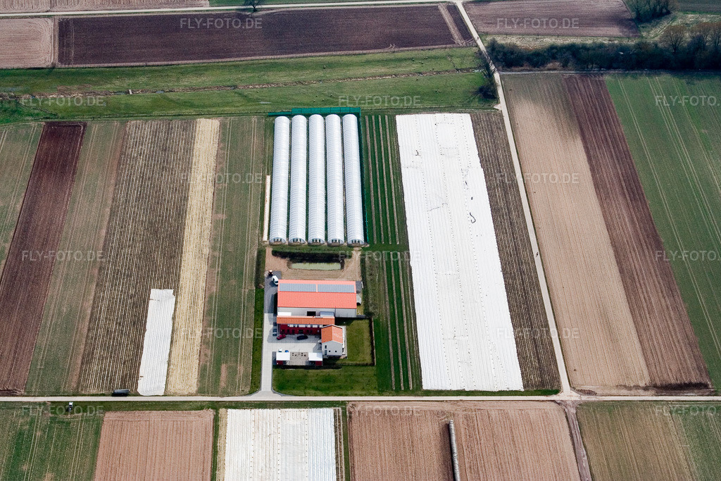 Luftbild: Aussiedlerhof Steegmüller in Offenbach an der Queich im Bundesland Rheinland-Pfalz in Deutschland. Foto: IMG_9757.jpg vom 15.03.2008 durch Werner Riehm/FLY-FOTO.de