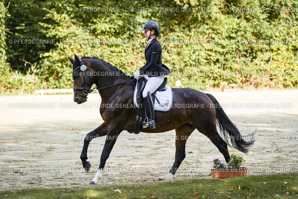 DSC08017 | Pferdegrafie