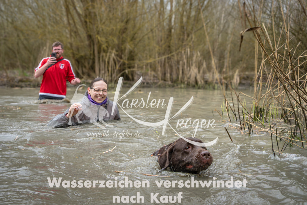 1357_ZZ95238 | kk-dogfotos