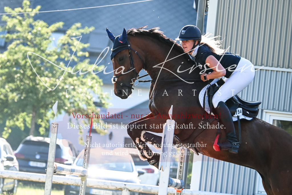 DSC_2921 | Pferde- und Turnierfotografie in Westsachsen. Pferdeportraits, Auftragszeichnungen und intuitive Kunst.