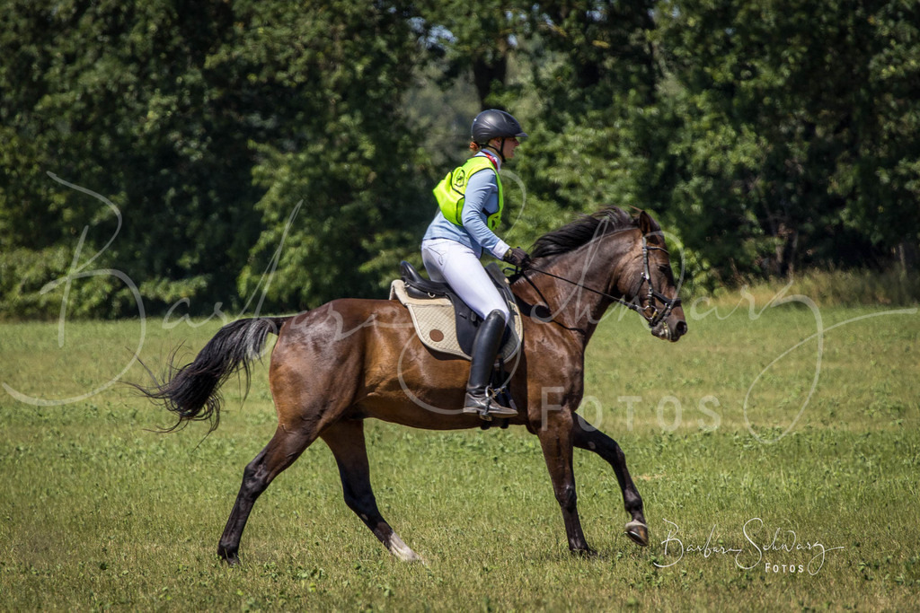 CJP_2026-06-26_62 | Stimmungsvolle Fotografie von Pferden, fotografische Begleitung von Veranstaltungen, Golfturnieren und Distanzritten - Realisiert mit Pictrs.com