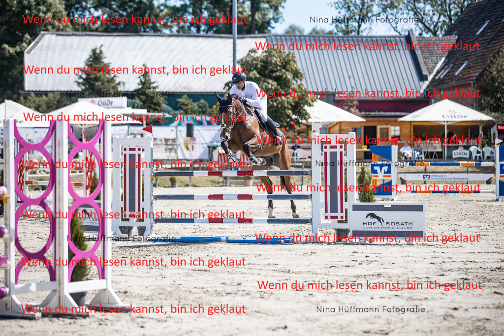 BK1A6405 | Turnierbilder Turnierfotos Nina Hüffmann Turnierfotografie Pferdefotografie Tierzeichnung Haustierzeichnung Pferdezeichnung Hundezeichnung Videograf  - Realisiert mit Pictrs.com