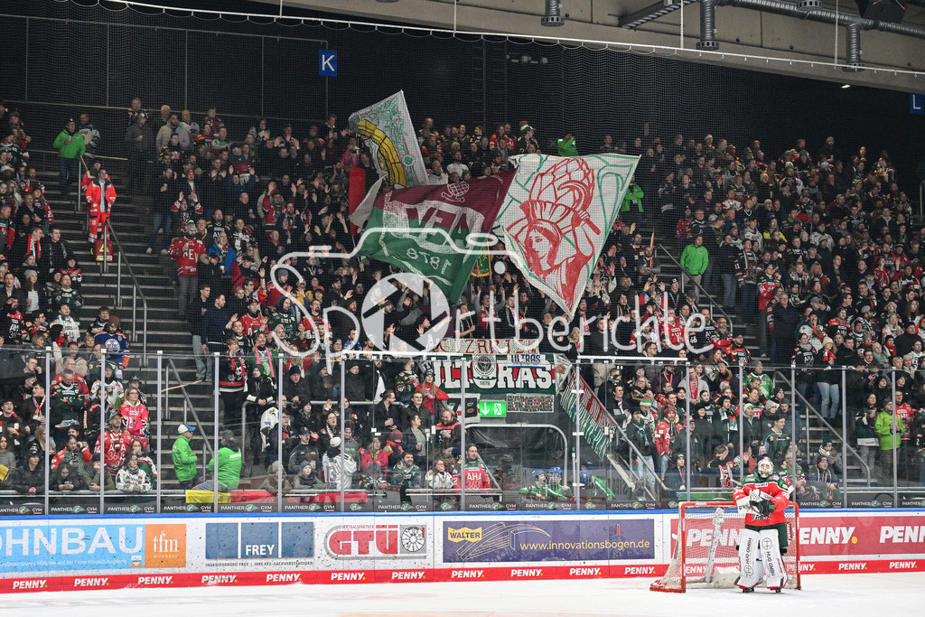 Augsburger Panther - Fischtown Pinguins | Fans der Augsburger Panther feuern das Team an / DEL: Augsburger Panther - Fischtown Pinguins, Curt Frenzel Stadion am 08.01.2025