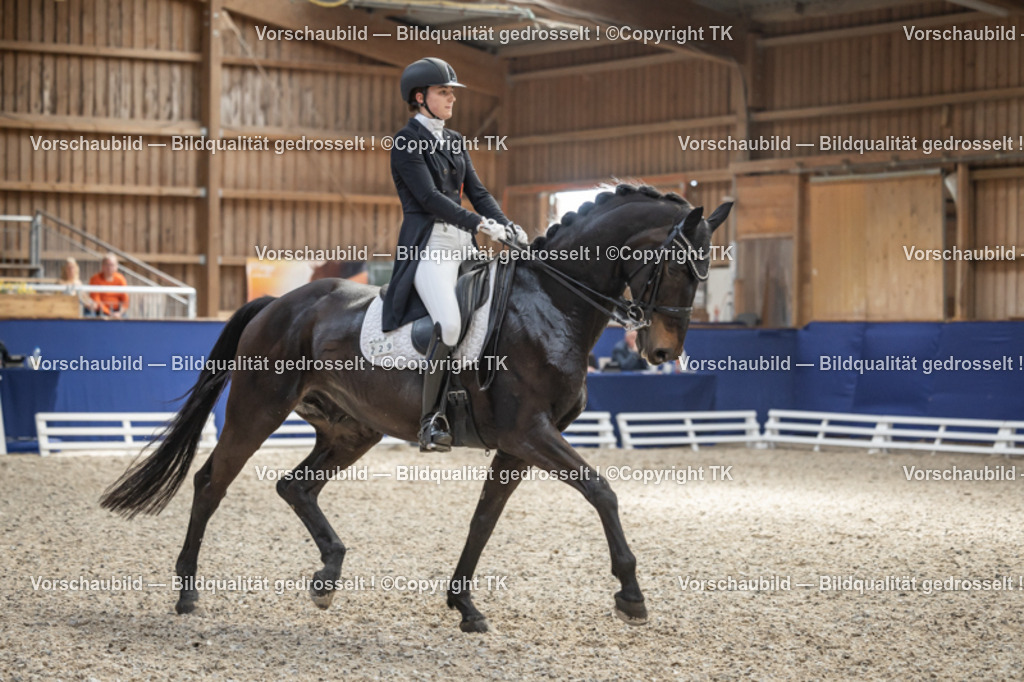 _D5A0566 | Emotionale Pferde- & People-Fotografie rund um Heidelberg, Leimen & Umgebung. Natürliche Fotos von Pferd, Mensch & Familie. Jetzt Termin sichern!