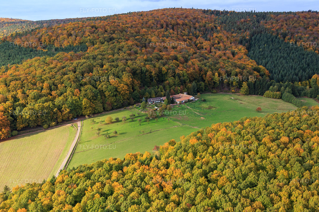 Vue aérienne: Ferme dans une clairière à Niederbronn-les-Bains dans le département Bas Rhin, France – .Photo: IMG_084728.jpg prise le 23/10/2015 par Werner Riehm/FLY-FOTO.eu – Résolution de l'original: 5472 x 3648 px