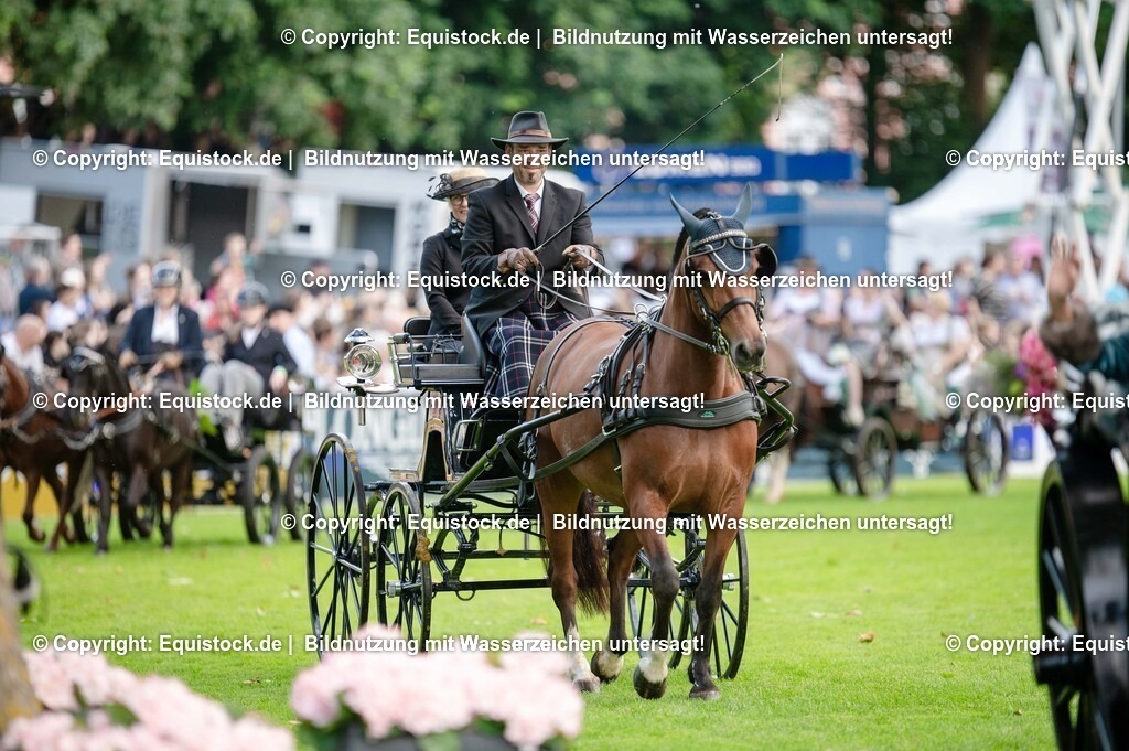 20250606_Lange-Pferdenacht_0087 | Foto: Thomas Hartig