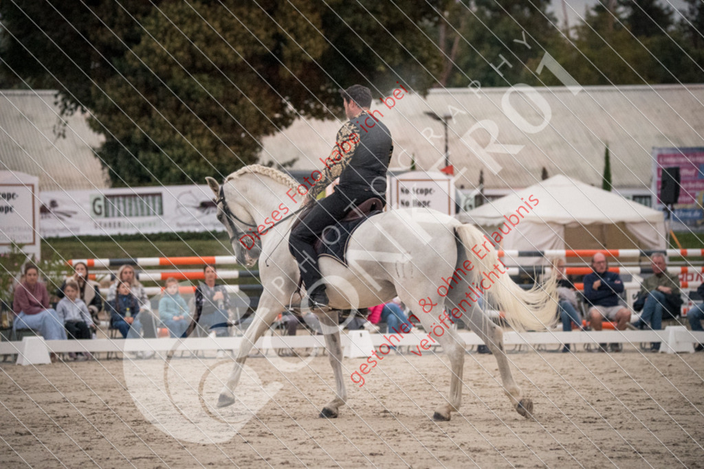 DSC_0076 | Sport-, Event- und Tierfotos in Profiqualität. Einfach auswählen, bestellen und herunterladen. Dein Moment – perfekt festgehalten.