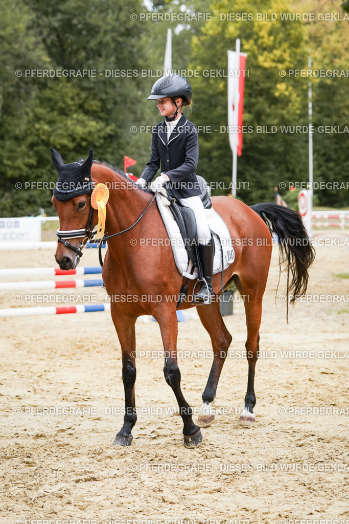 DSC06097 | Pferdegrafie