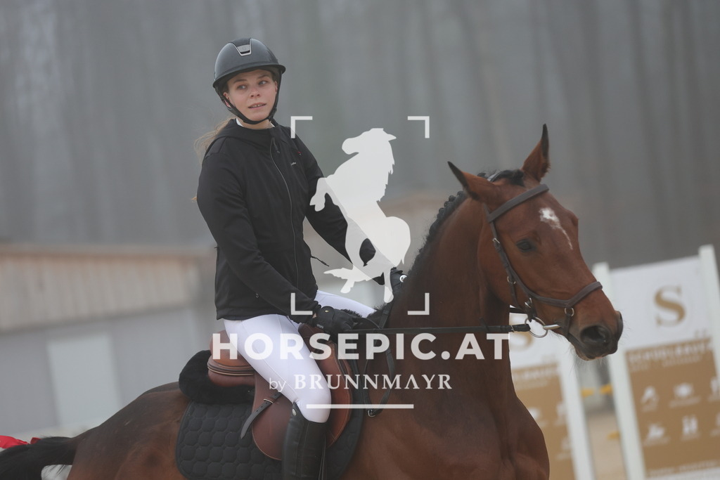 0P6A8010 | Willkommen bei Brunnmayr - Design & Fotografie – Ihrem Spezialisten für Reitturniere und Pferdeveranstaltungen in Oberösterreich, Salzburg und Bayern! Seit über 17 Jahren sind wir leidenschaftlich dabei.