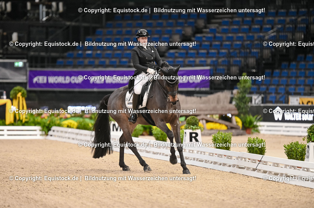 20251112_Dressur_iWest_TOMSPIC_01480148 | Foto: Thomas Hartig