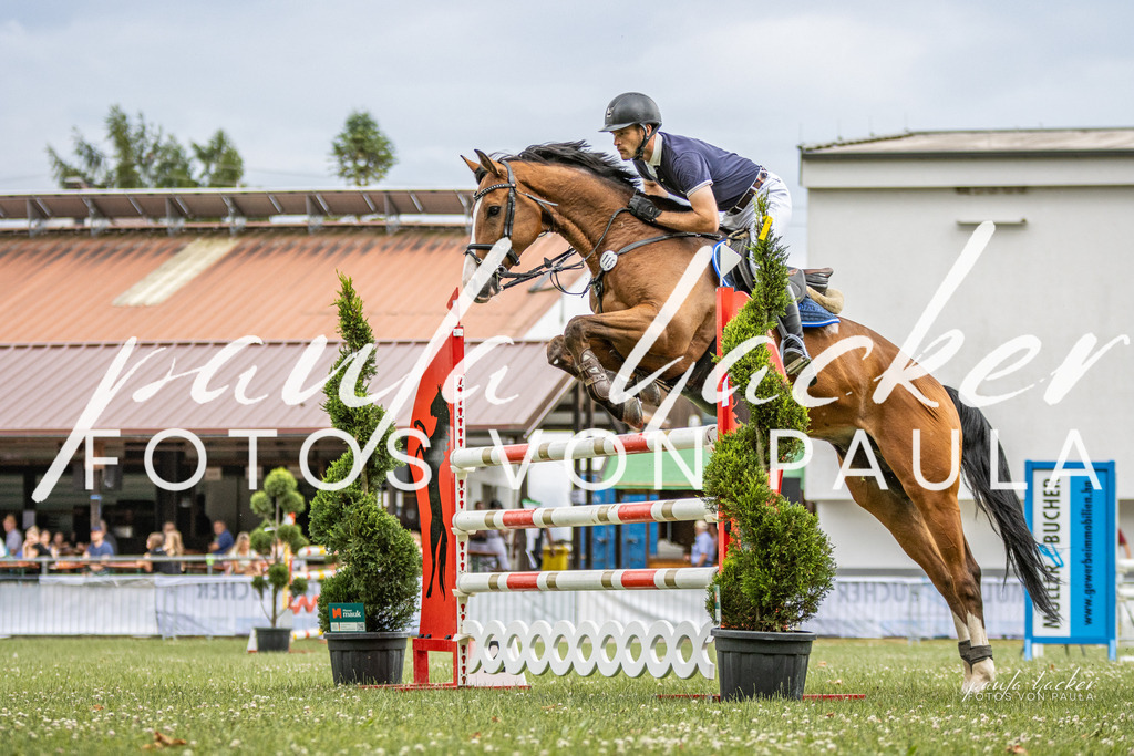 IMG_7316 | Erleben Sie dynamische Sport- und emotionale Tierfotografie in Süddeutschland mit Fotos von Paula. Spezialisiert auf Pferde- und Hundefotografie sowie Sportevents. Kontaktieren Sie mich für einzigartige und ausdrucksstarke Bilder Ihrer besonderen Momente. - Realisiert mit Pictrs.com