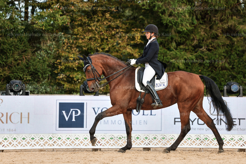 13-072-S___ -StoibPH-6993 | working equitationturnier fotograf videograf stoibphotography marixx film working equitation deutschland reitsport turnierfotografie eventfotografie equestrian events