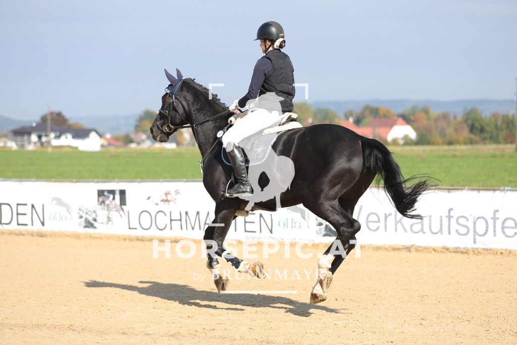 0P6A8050 | Willkommen bei Brunnmayr - Design & Fotografie – Ihrem Spezialisten für Reitturniere und Pferdeveranstaltungen in Oberösterreich, Salzburg und Bayern! Seit über 17 Jahren sind wir leidenschaftlich dabei.