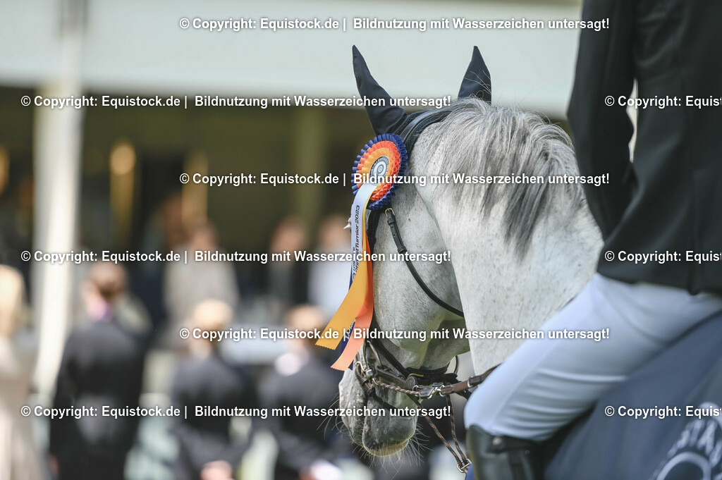 20230527_12_CSI4_Pfungstädter_0126 | equistock