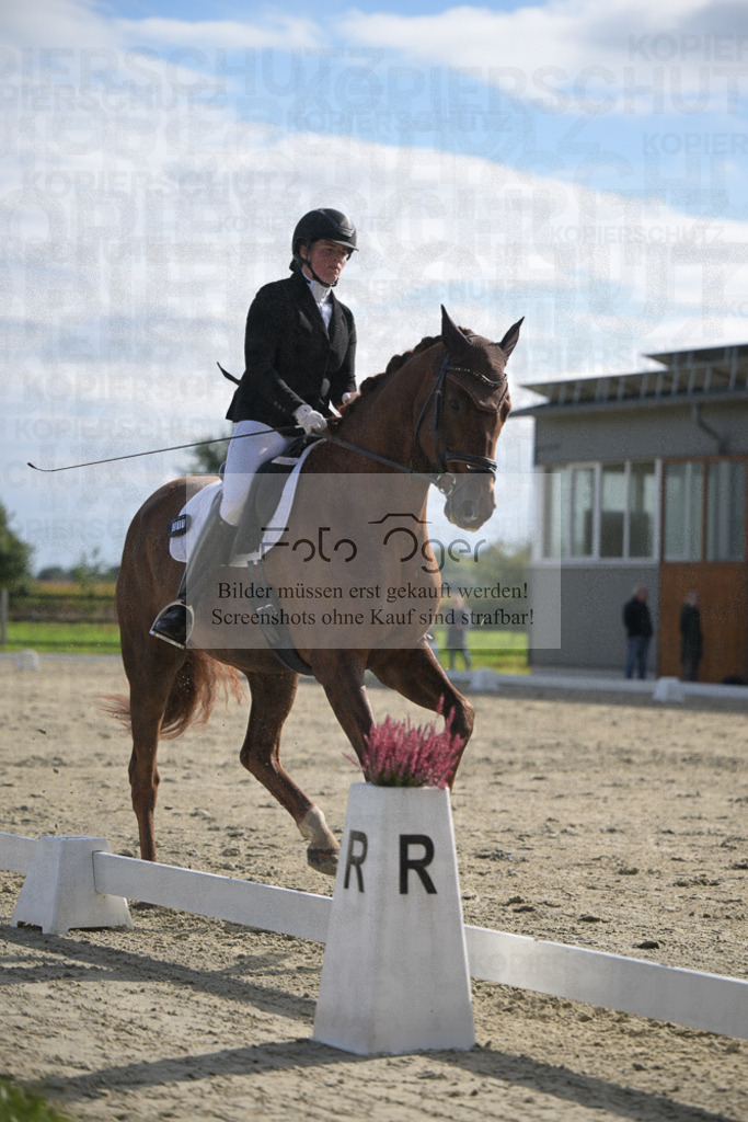 DOS_2690 | Entdecke hochwertige Reitturnierfotos von Foto Oger. Professionell, emotional und authentisch – jetzt Lieblingsmomente im Shop bestellen.Deutschlandweite Turnierfotografie. - Realisiert mit Pictrs.com