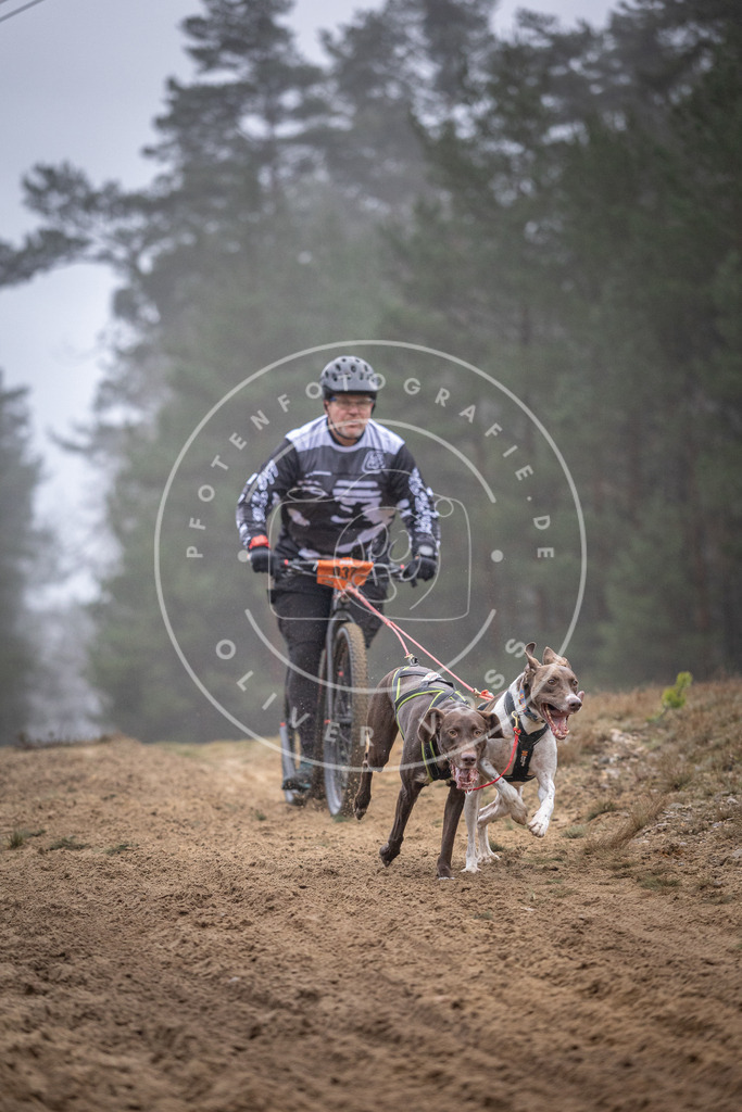 Pfotenfotografie_DV3A0850 | Hundefotografie, Tierfotograf, Pfotenfotografie, Fotoshooting Hund, Hunde Portrait, Hundesport, Hundeportraits, Heideshooting, Hunde, Sportfotograf, Hundefotograf, Turnierhundsport, THS,  - Realisiert mit Pictrs.com