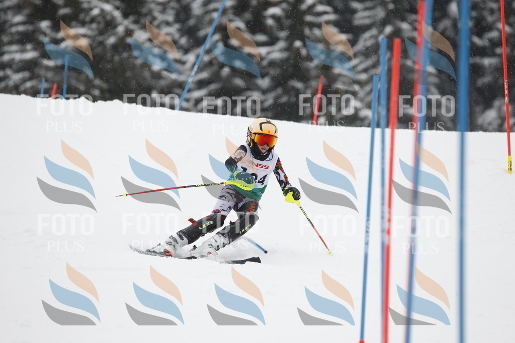 A2147 | holidayphoto