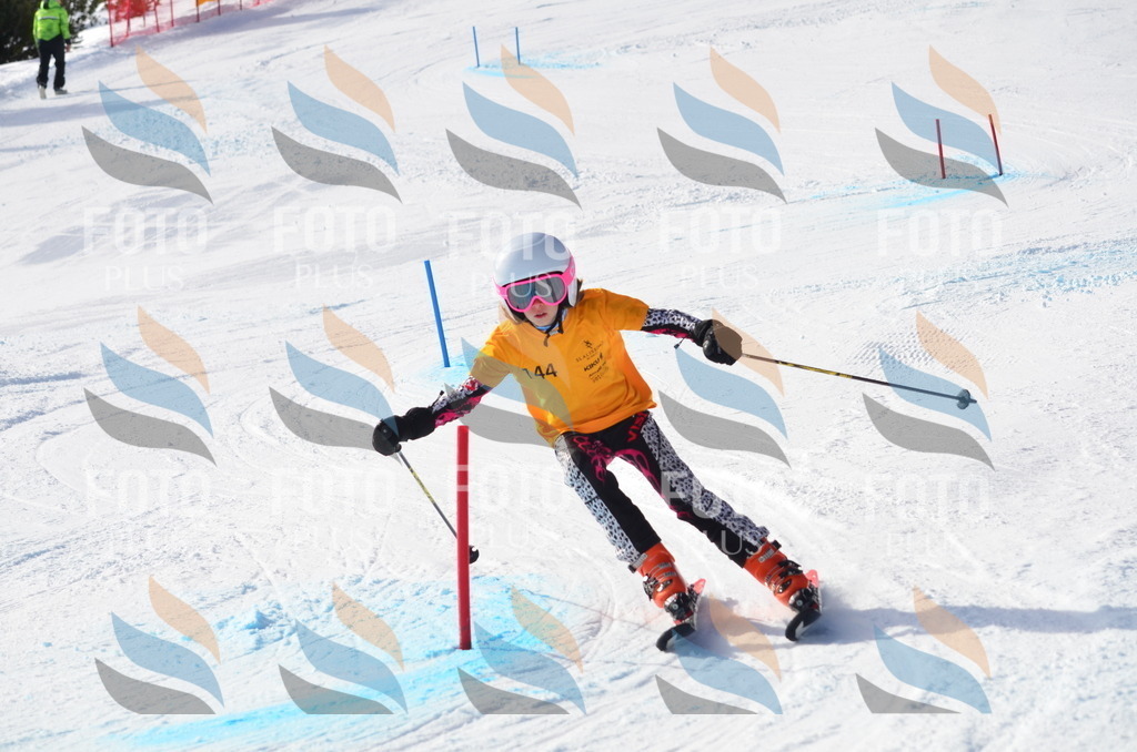 C7710 | holidayphoto