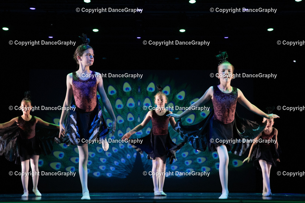 GPHY6171 | DanceGraphy - Realisiert mit Pictrs.com