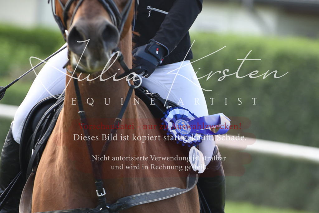 DSC_9003 | Pferde- und Turnierfotografie in Westsachsen. Pferdeportraits, Auftragszeichnungen und intuitive Kunst.