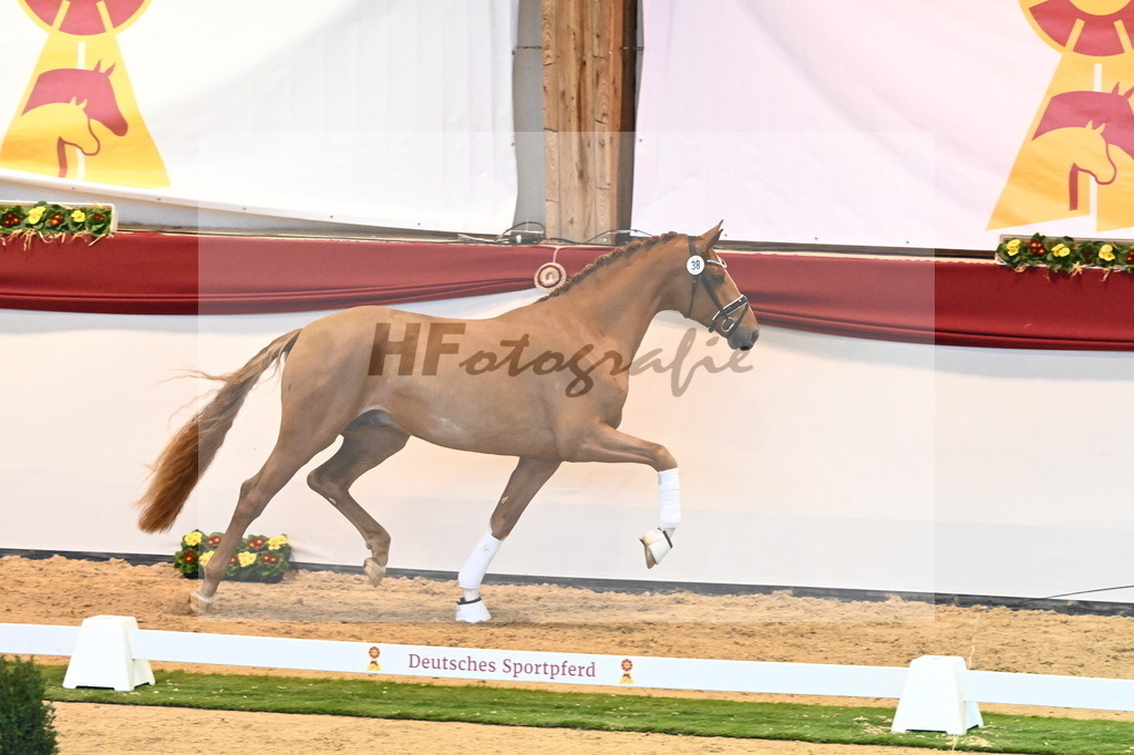 Kat.-Nr. 38 v. De Sandro_Schmid_2240404 | hf-fotografie - Realizzato con Pictrs.com