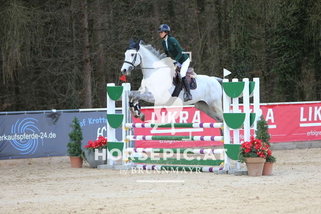 DL2Q8933 | Willkommen bei Brunnmayr - Design & Fotografie – Ihrem Spezialisten für Reitturniere und Pferdeveranstaltungen in Oberösterreich, Salzburg und Bayern! Seit über 17 Jahren sind wir leidenschaftlich dabei.