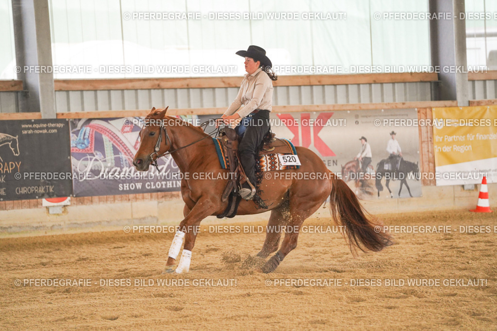 DSC00128 | Pferdegrafie