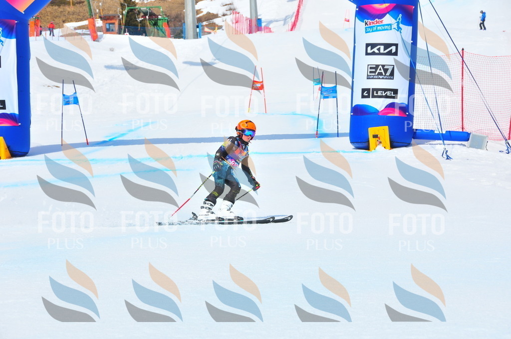 DSC_6974 | holidayphoto