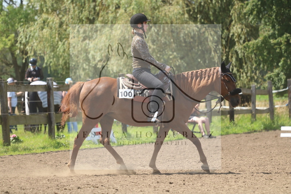 IMG_1635 | jessicahollubetz_pferdephotographie - Realisiert mit Pictrs.com