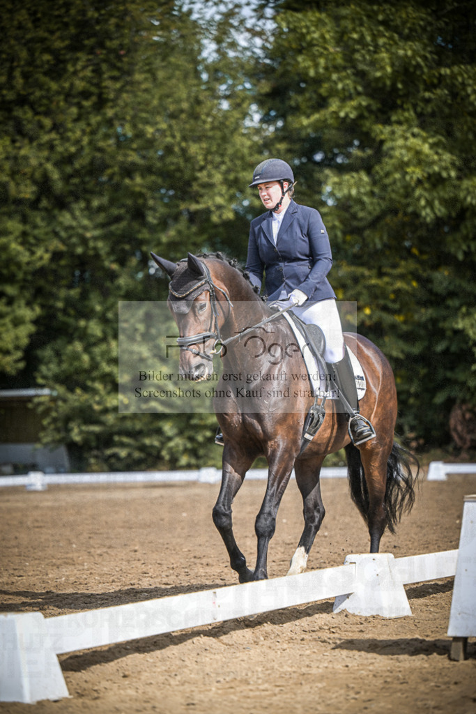 DOS_4329 | Entdecke hochwertige Reitturnierfotos von Foto Oger. Professionell, emotional und authentisch – jetzt Lieblingsmomente im Shop bestellen.Deutschlandweite Turnierfotografie. - Realisiert mit Pictrs.com
