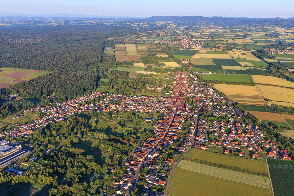 Luftbild: Ortsansicht von Osten im Ortsteil Schaidt in Wörth im Bundesland Rheinland-Pfalz in Deutschland. Foto: IMG_007785.jpg vom 21.06.2020 durch Werner Riehm/FLY-FOTO.de